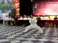 陈中华和谐杯表演2012