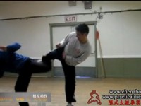 陈中华模拟散手