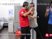 xinjiapo2014sike6-5-full