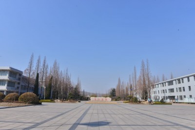 大青山国际太极学校 - 未来雕像、太极博物馆