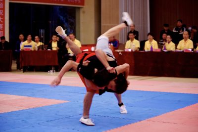 2016年大青山国际太极拳推手