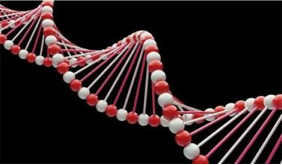 生命DNA分子双螺旋模型
