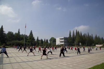 第十六届大青山实用拳法讲座上在大青山太极学校。