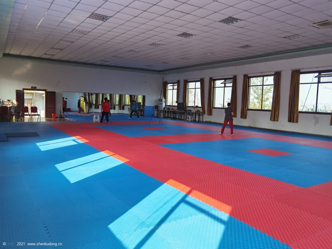 大青山陈中华太极馆长兴厅202110